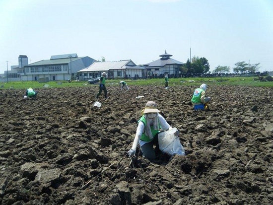 Working Fields